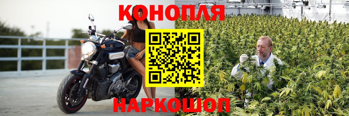 Каннабис марихуана Урус-Мартан